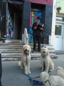 Dogs